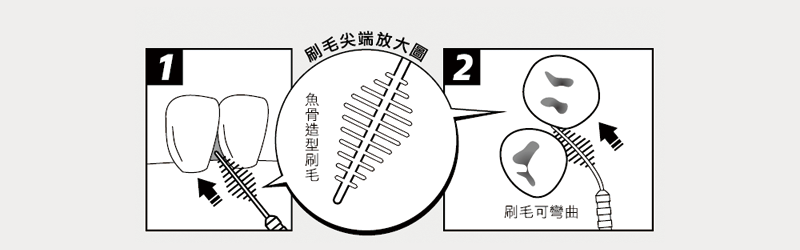 牙籤-刷毛尖端